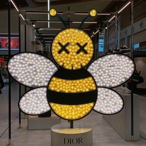 Meet your Posher, Yueshi